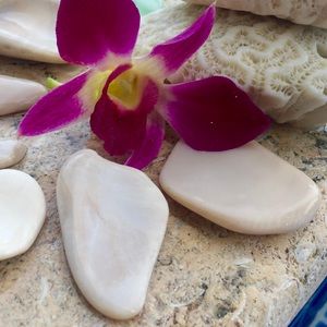 Mayan stress relief Rubbing Shells🐚